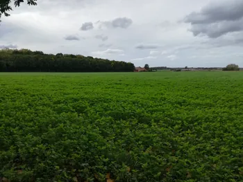 Galgebossen (Poperinge, Elverdinge, Vlamertinge) (Belgie)